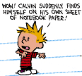 Calvin In Drawn Form