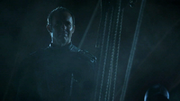 Stannis blackwater