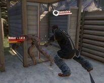 Deadisland