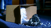 Kryptonitsilber