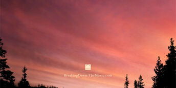The-Twilight-Saga-Breaking-Dawn-Part-1-2011-Movie-Poster2