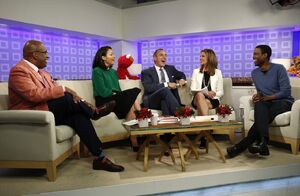 Today-Elmo-3-(2012-06-07)