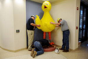 102711 NEWS Big Bird MRM 01-thumb-590x395-92586