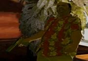 Diaz mit Eagle