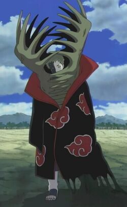 Debut de Zetsu