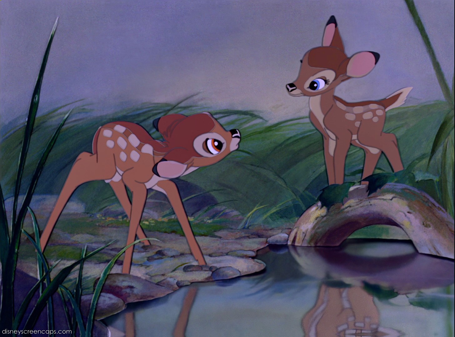 Bambi (character) Disney Wiki