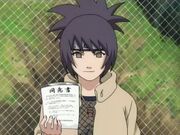 Anko examinadora