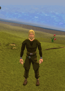 Lunarspellteleport