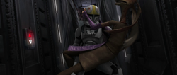 MackTangledWithJarJar-TGG