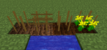 Crops4