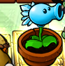 SnowPeaZenGarden