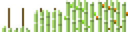 Stickreed Growth Stages