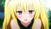 Yami apenada