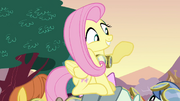 Fluttershy waving S2E22