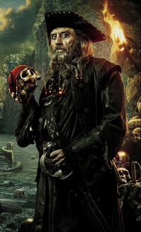 Mr.Beard