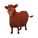 Devon Cow