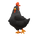 Black Leghorn Chicken
