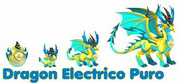 Dragon electrico puro