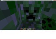 Inside of a Creeper