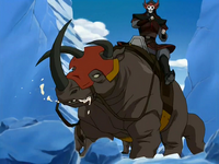 Komodo rhino at the North Pole