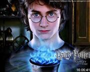 Potter 3