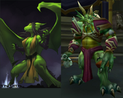 Drakonid Female Male