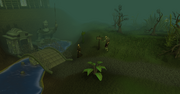 Morytania entrance