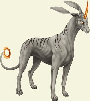 Ashen Shaa Art