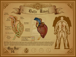 Space marine oolitic kidney by the first magelord-d4bebby