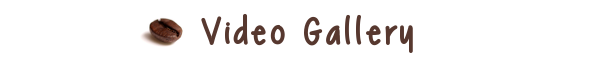 Vidgal
