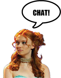 FoxFaceCHAT