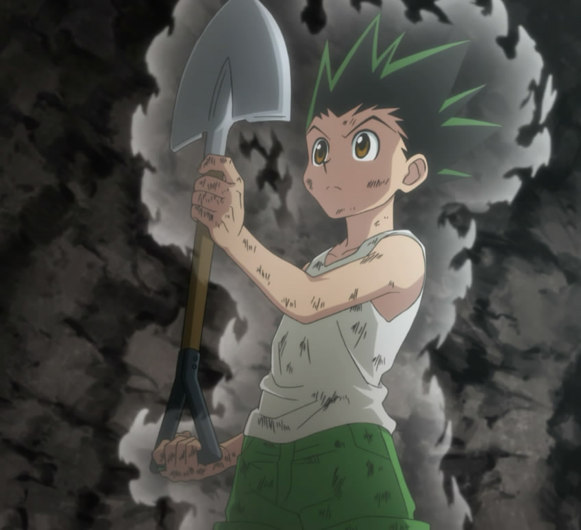 Gon, Wiki, Hunter X Hunter