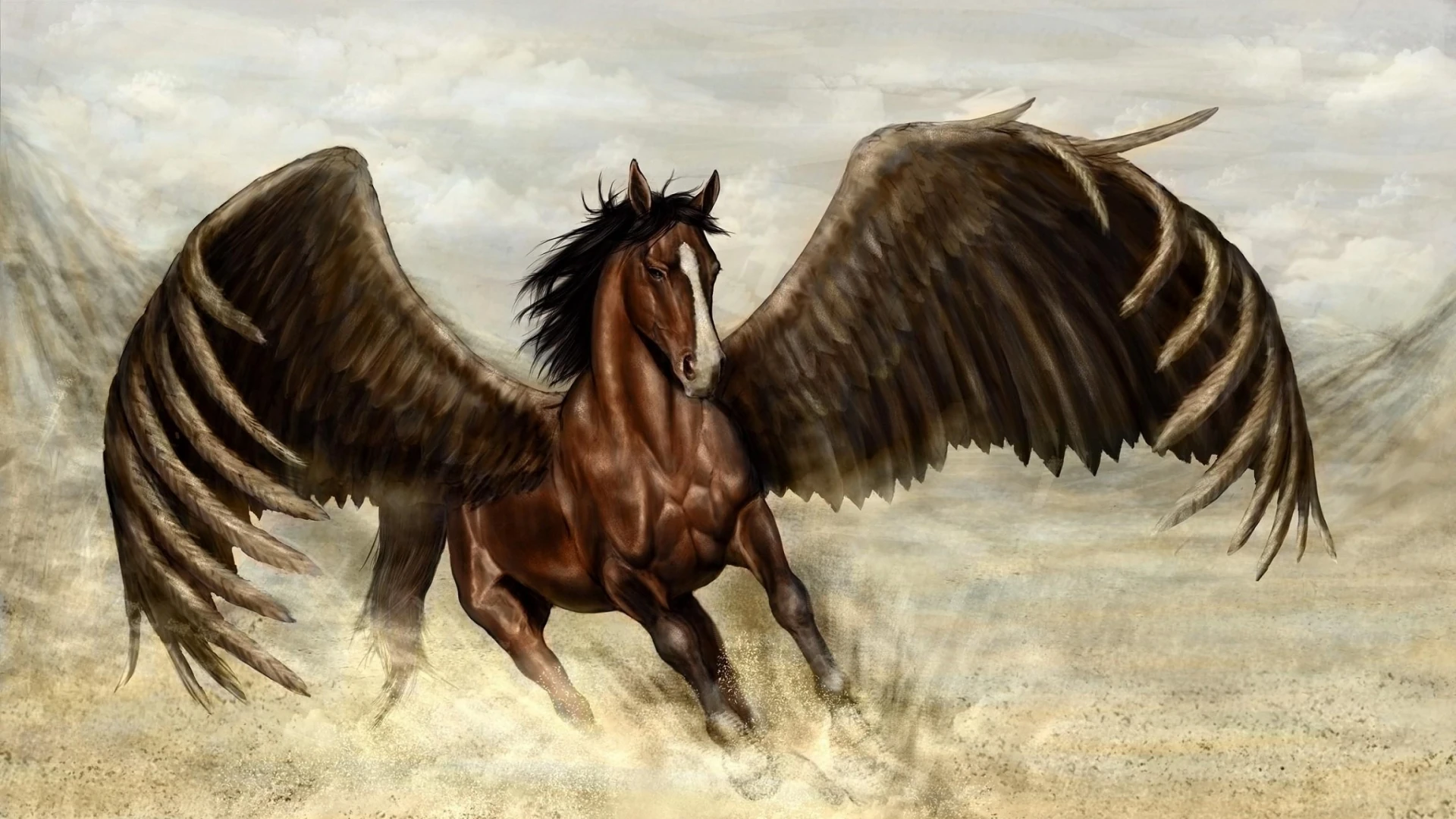 Image backgroundbrownpegasushorsewithwingsjpg warriors of Image backgroundbrownpegasushorsewithwingsjpg warriors of