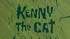 Kenny the cat