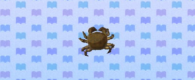 Mitten_crab.png