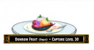 DomromFruit