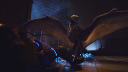 NW1x1 PteranodonAttacksJack