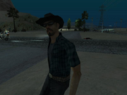 Parnoid Cowboy