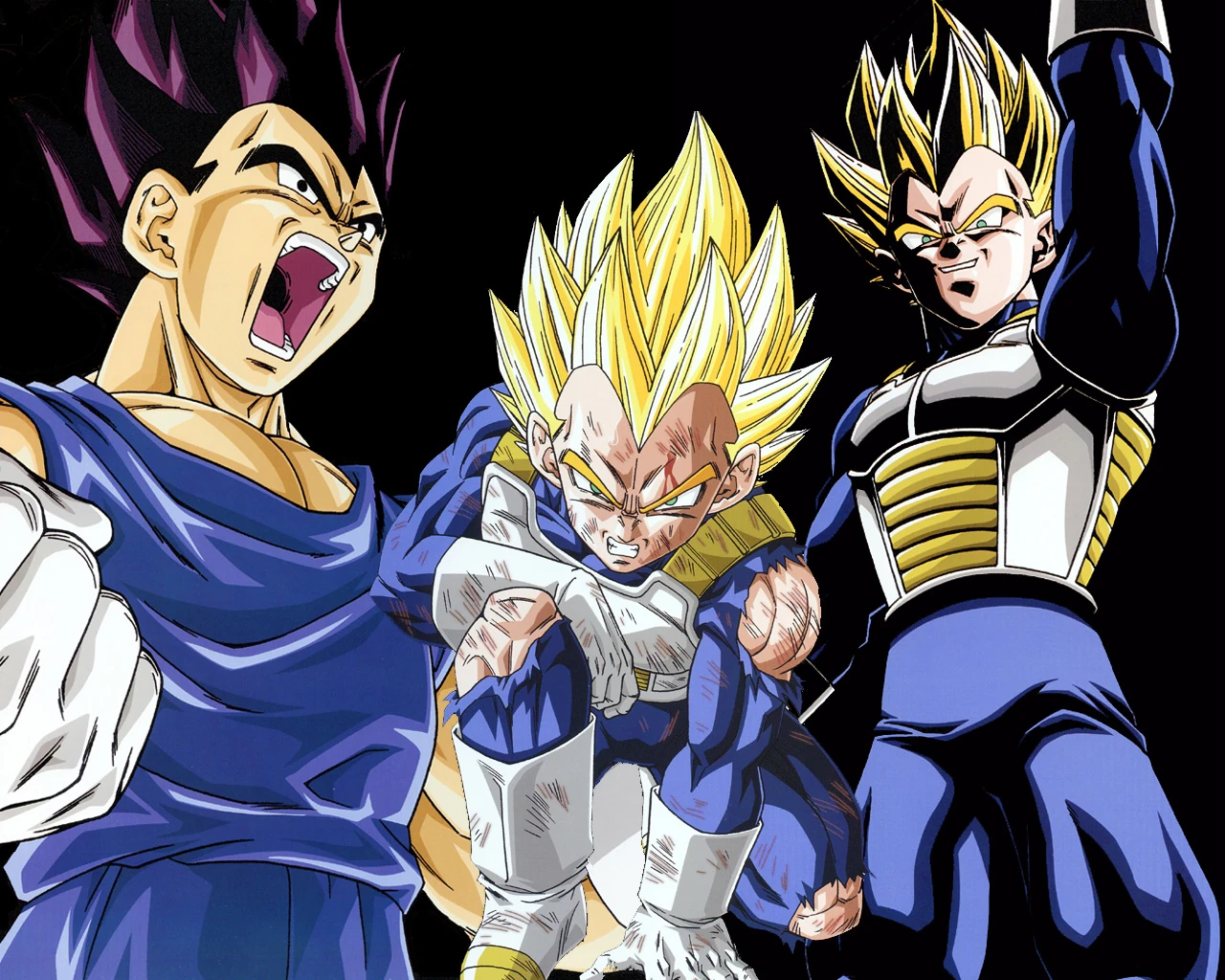 ¿Piccolo o Vegeta? Dragon Ball Wiki