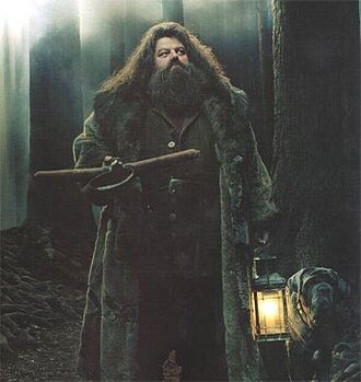 Hagrid with Fang