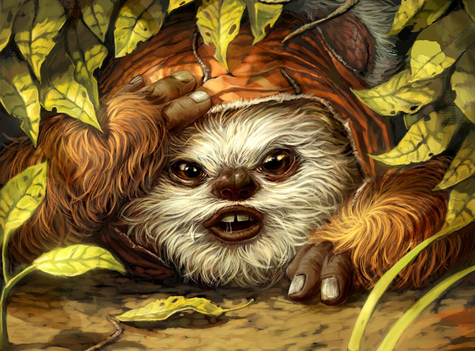 graak ewok