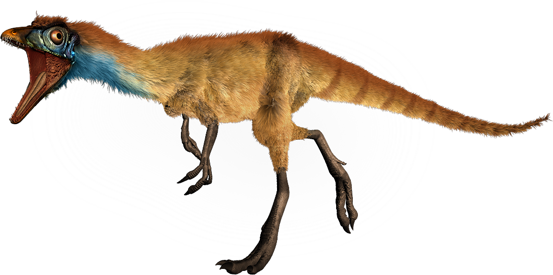 compsognathus