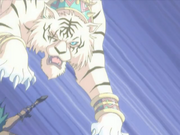 BasstheDDTiger