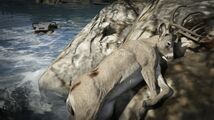 Buck-GTAV-dead