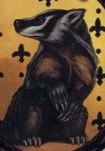 Borsuk
