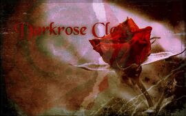 Redrose