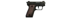 Pistola SNS