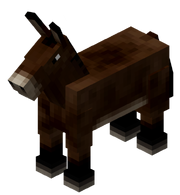 553px-Mule