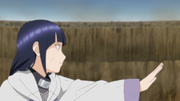 Punho Suave Hinata
