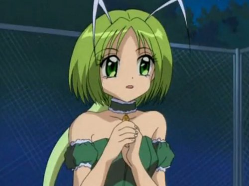 Retasu Midorikawa Tokyo Mew Mew Wiki